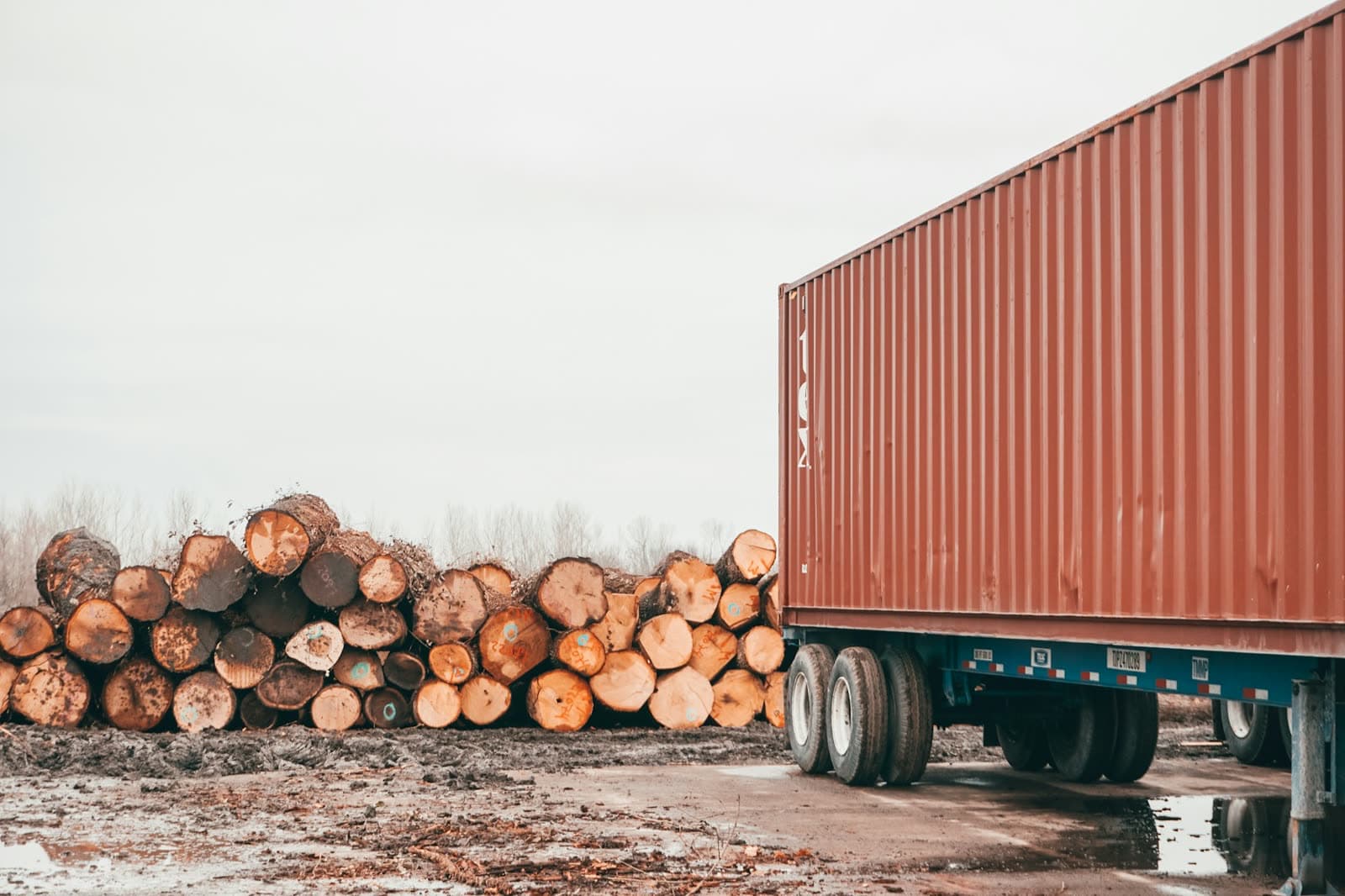 Loaded log transport lane