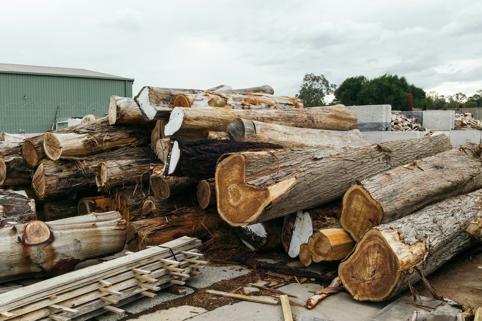 Sorted log inventory yard